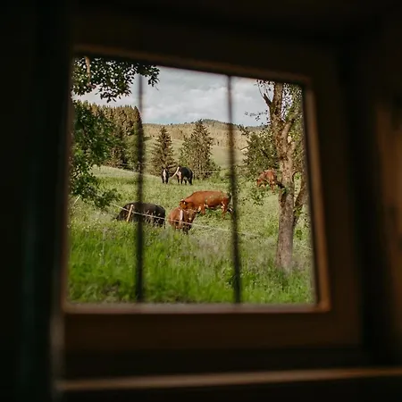 Superior Brandleit Hart im Zillertal