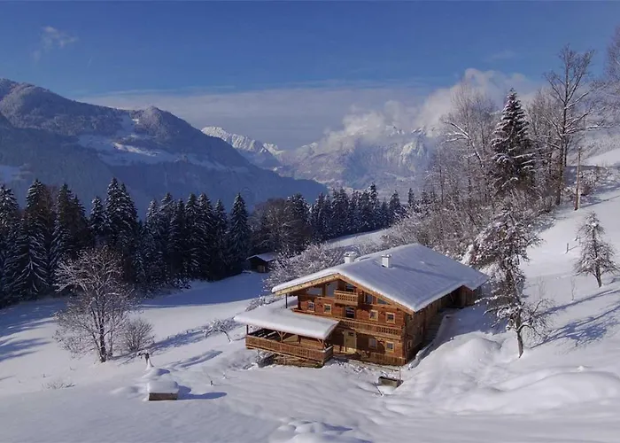 Superior Brandleit *