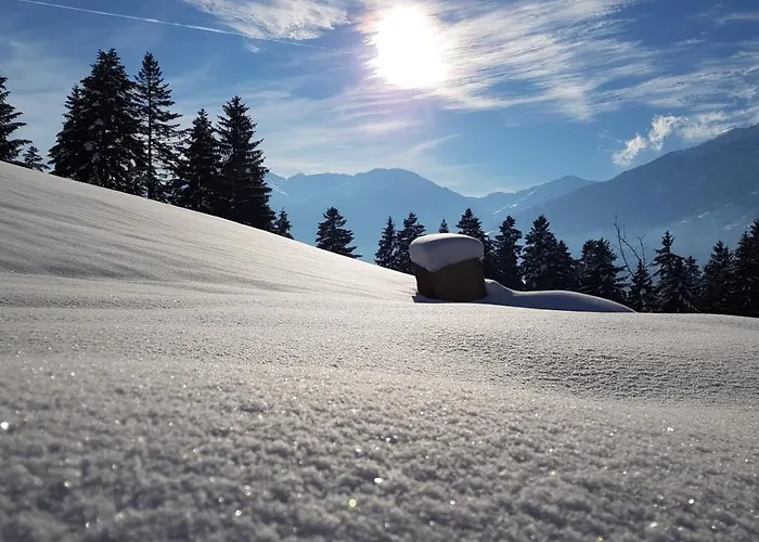 Superior Brandleit *