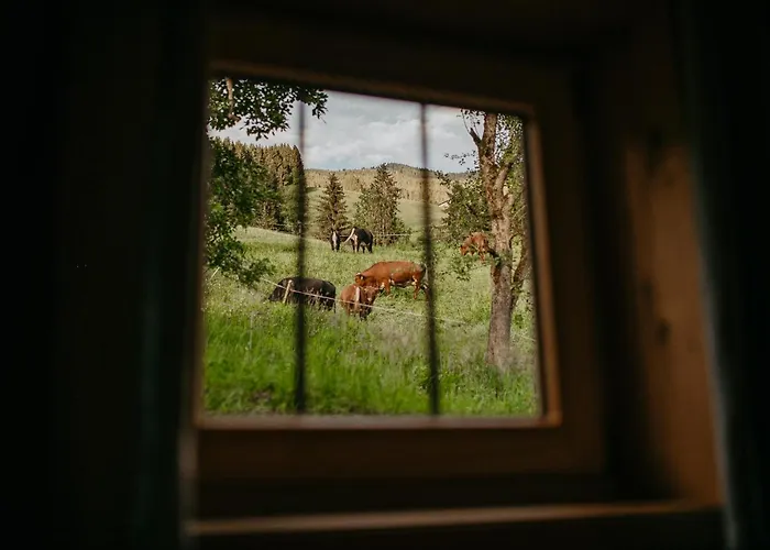 Superior Brandleit Hart im Zillertal