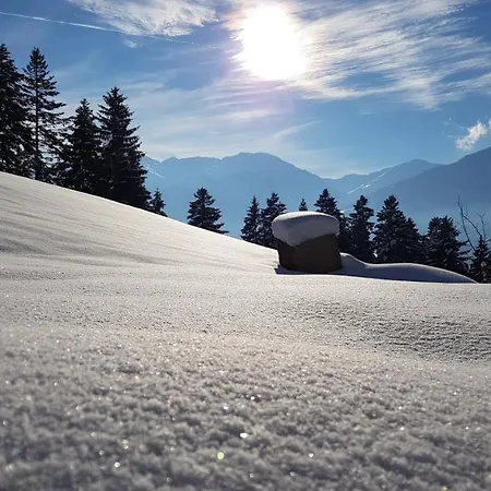 Superior Brandleit *